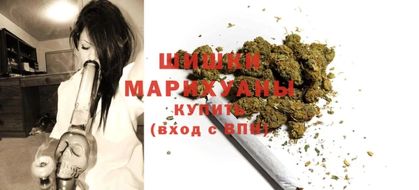 шишки Майский