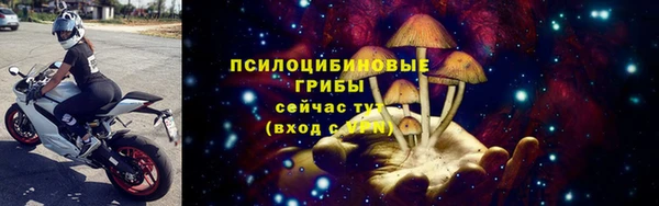 шишки Майский