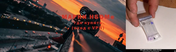 шишки Майский