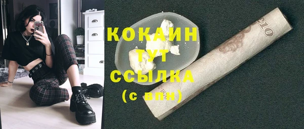 шишки Майский