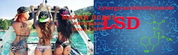 шишки Майский
