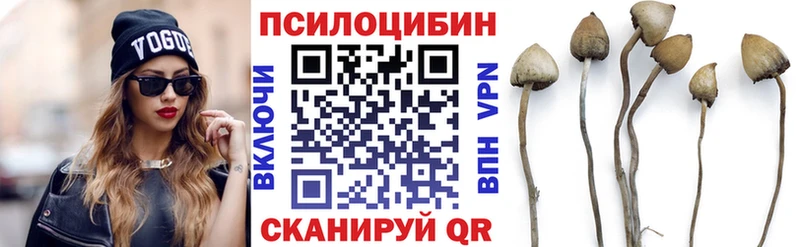 Псилоцибиновые грибы прущие грибы  где продают наркотики  blacksprut ссылка  Томилино 